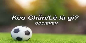 Kèo Chẵn Lẻ Là Gì? Cách Bắt Kèo Chẵn Lẻ Thắng 6 Định nghĩa kèo chẳn lẻ đơn giản nhất