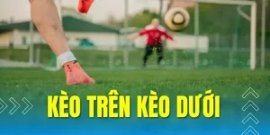 Kèo trên dưới là gì? Kinh nghiệm soi kèo hiệu quả 2024 1 Kinh nghiệm soi kèo qua bảng kèo phổ biến