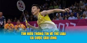 Bí Quyết Cá Cược Cầu Lông OK9 Chiến Thắng Dễ Dàng 8 Tìm hiểu thông tin về thể loại cá cược cầu lông
