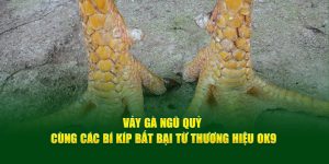 Vảy Gà Ngũ Quỷ Cùng Các Bí Kíp Bất Bại Từ Thương Hiệu OK9 4 Vảy Gà Ngũ Quỷ Cùng Các Bí Kíp Bất Bại Từ Thương Hiệu OK9