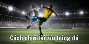 Cách chơi tài xỉu bóng đá - chia sẻ kinh nghiệm bất bại 5 Cách chơi tài xỉu bóng đá - chia sẻ kinh nghiệm bất bại