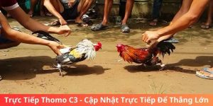 Trực Tiếp Thomo C3 - Cập Nhật Trực Tiếp Để Thắng Lớn 9 Trực Tiếp Thomo C3 - Cập Nhật Trực Tiếp Để Thắng Lớn